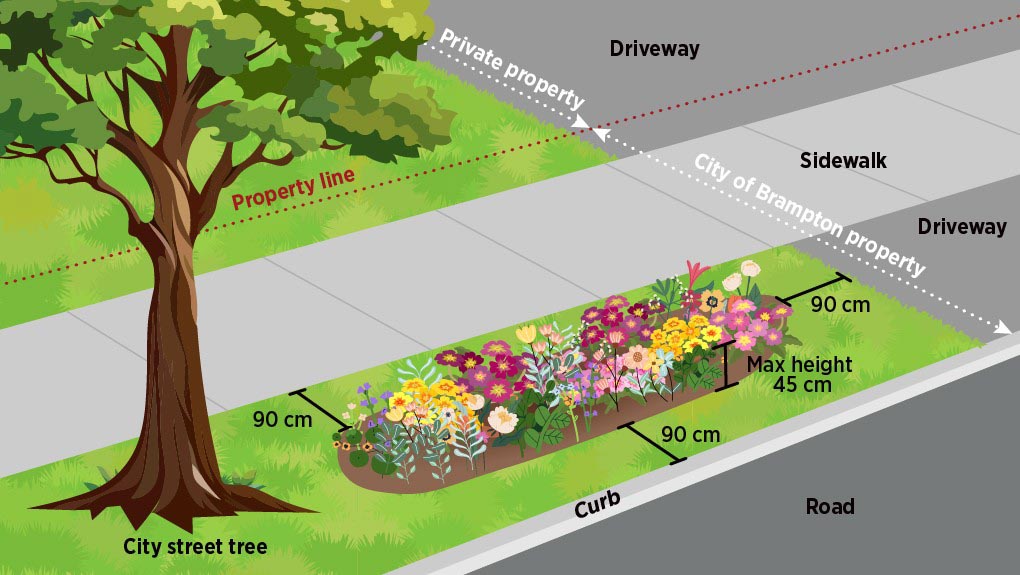 Boulevard Gardens need a 0.9 m setback from any curb, sidewalk or driveway  and clearance provided around any street trees, hydrants, or other City utility. Plant height can not exceed 0.45 cm.