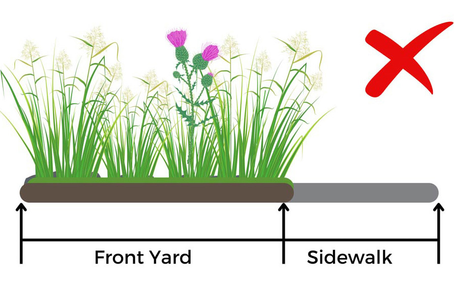 Low plants placments next the sidewalk marked correct and maintained