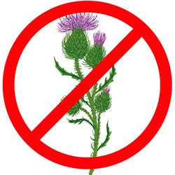 Prohibited Plants sign